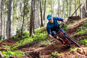 en kille som cyklar genom skogen